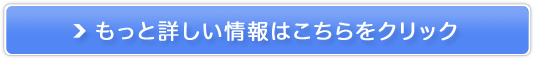 hN^[\Z^r^~CetuAPP-CtZv̔TCg